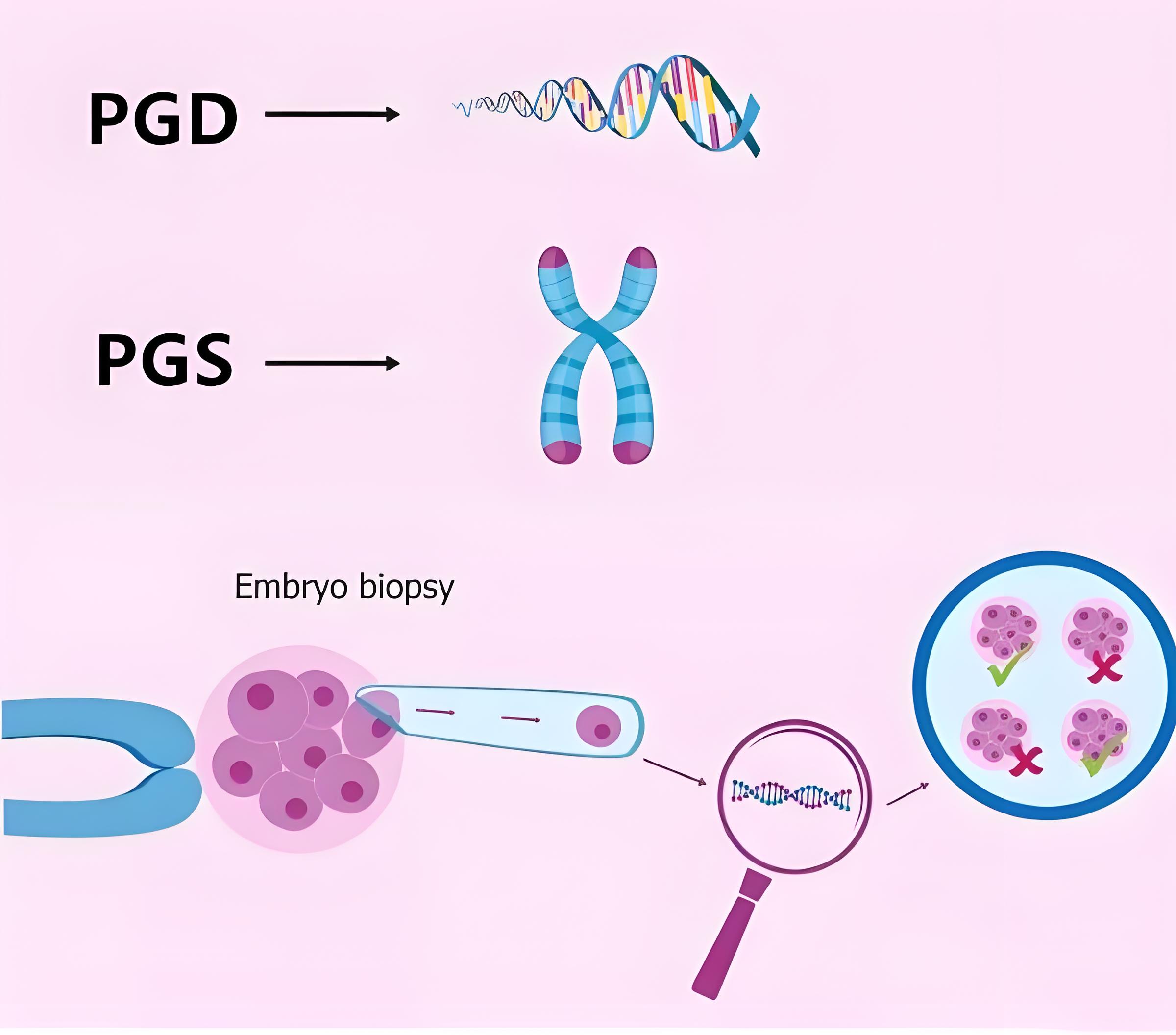 pgs/pgd技术