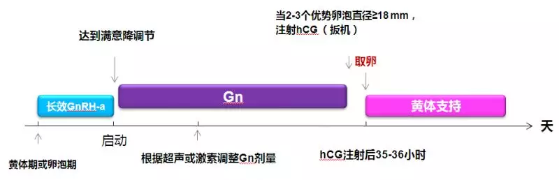 长方案