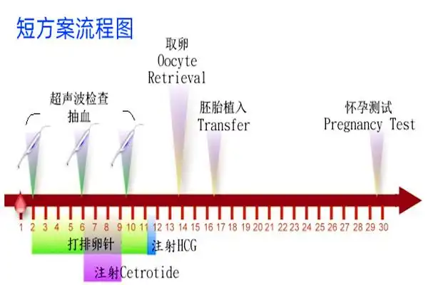 试管短方案