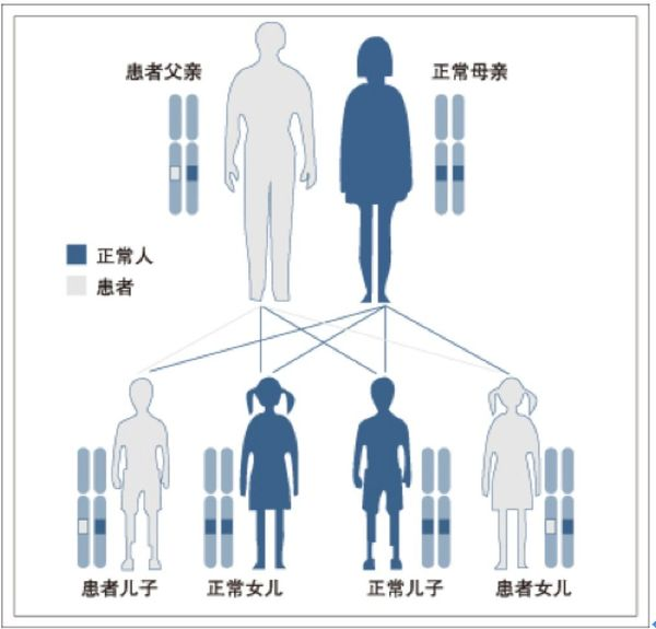 遗传图谱