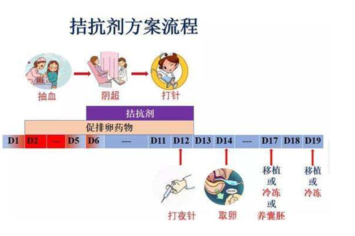 拮抗剂方案